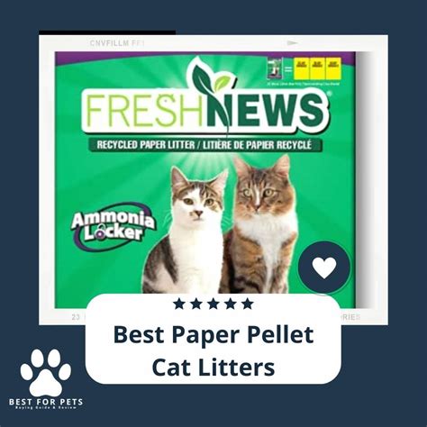 best cat litter|cat litter reviews 2022.